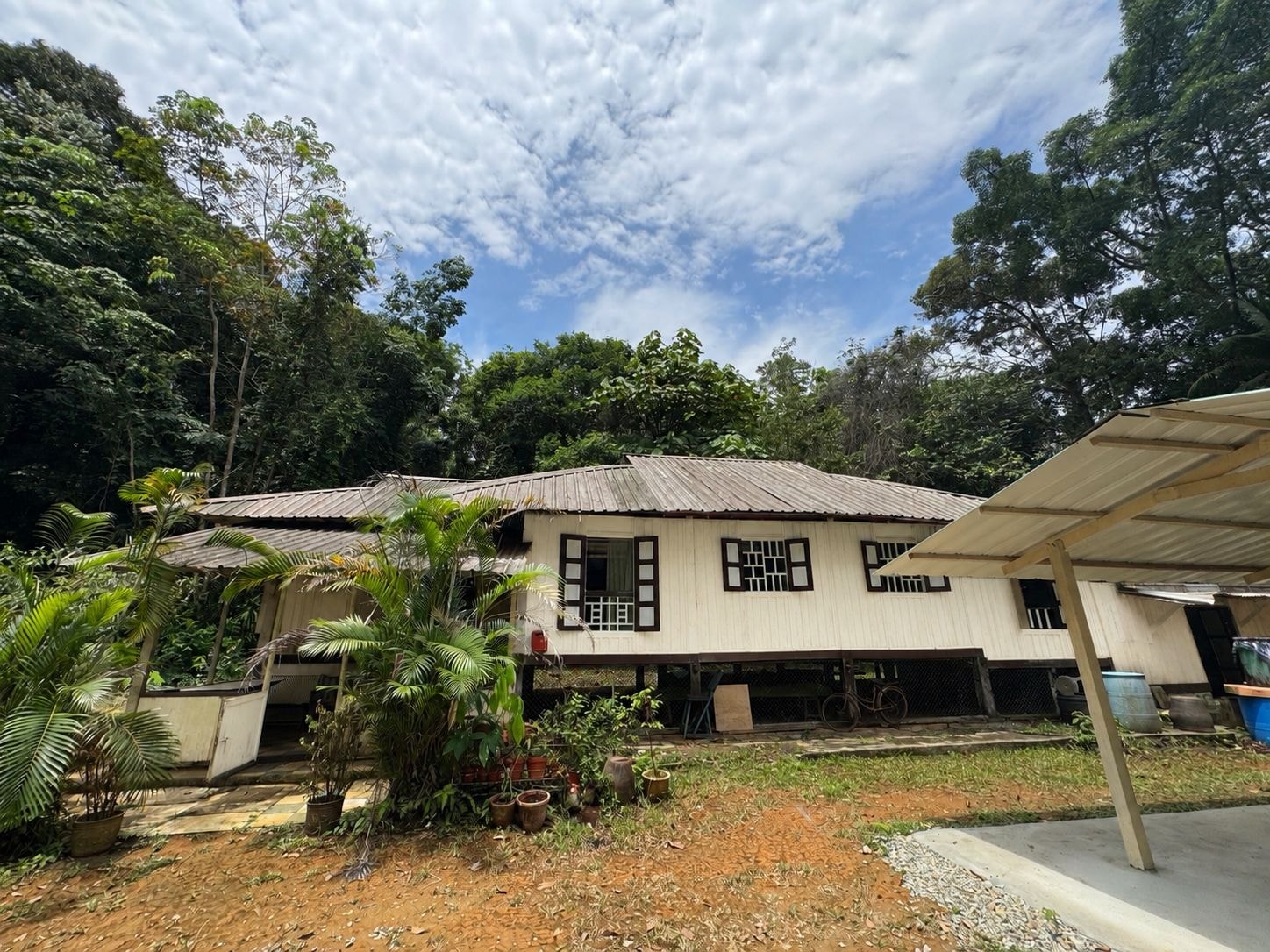 Elderly couple in the kampung garden — our grandparents, Tok and Nenek